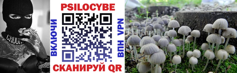 ОМГ ОМГ ONION  Партизанск  Псилоцибиновые грибы Psilocybe 